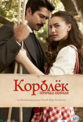 Королёк — птичка певчая